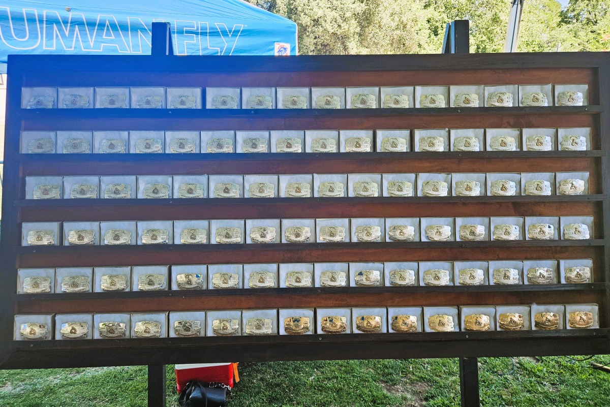 The WSER Start Line